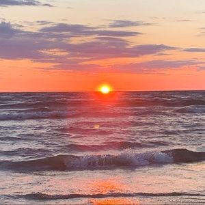 Meet your Posher, Gracie